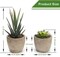 Artificial Succulent Plants Potted, Assorted Decorative Faux Succulent Potted Fake Cactus Cacti Plants with Pots, Set of 5